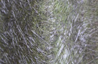 Maplebeck fibreglass roof work